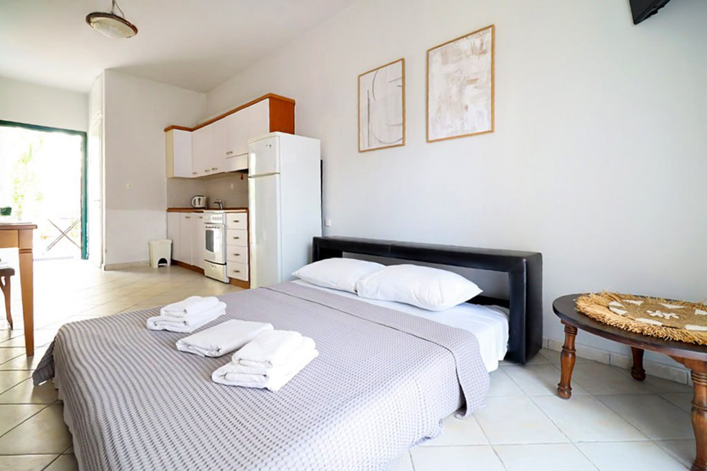 House N1