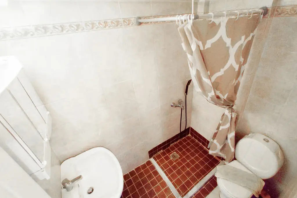 House N1