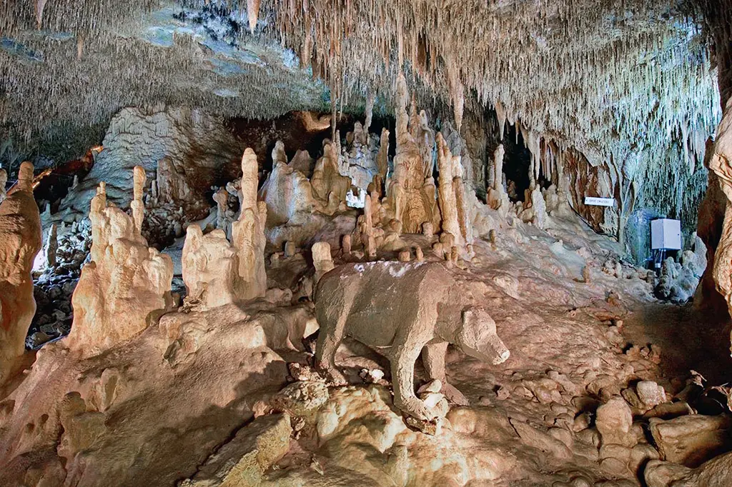 Excursions | Welcome to Greece 1